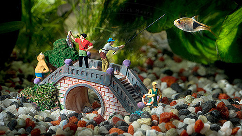 NM-LF-FishingBridge-1w