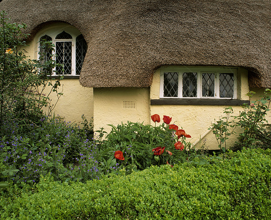 ThatchedCottage10