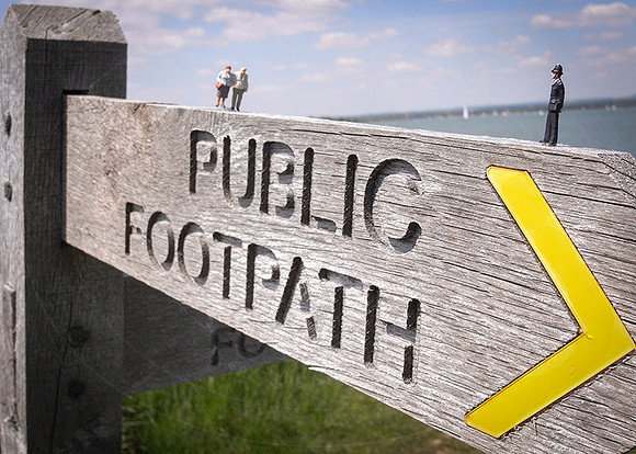 NM-LP-PlodWaits-1w